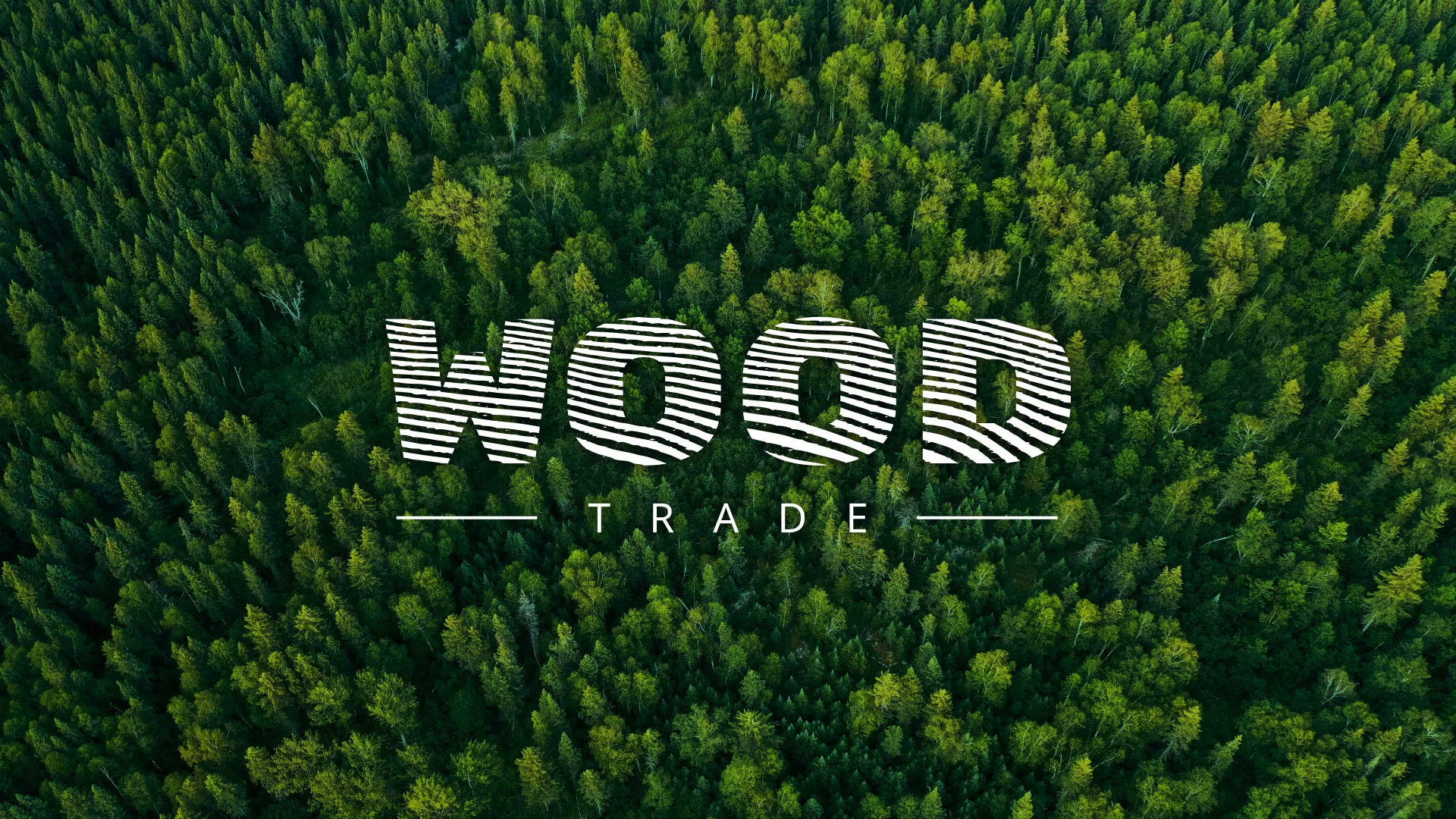 Разработка интернет-магазина компании «Wood Trade» в Сосновоборске